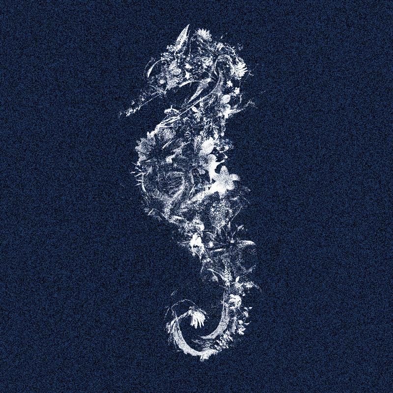 Floralseahorse, 2019 