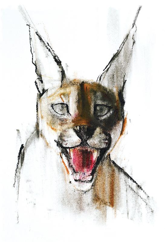 Grondement (Caracal Arabe), 2009