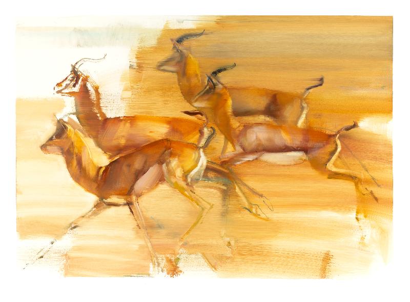 Gazelles qui courent, 2010
