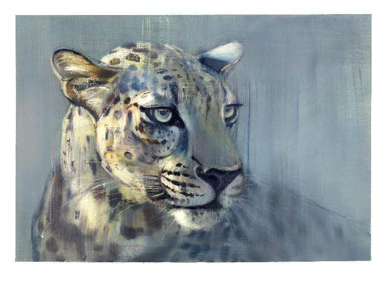 Prédateur II (Arabian Leopard), 2009