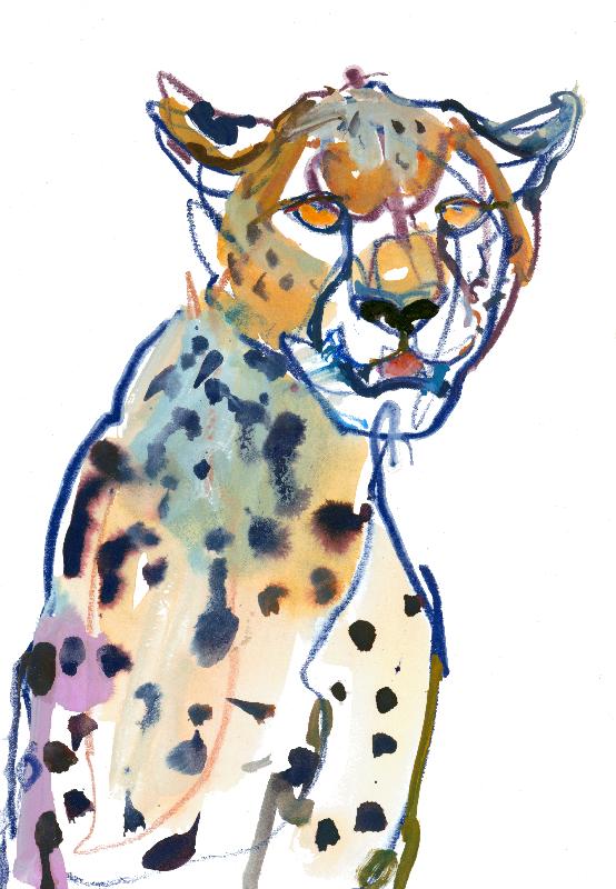 Chyulu Cheetah (leopard)