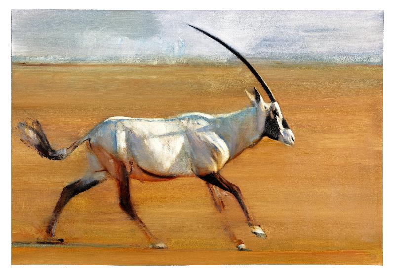 Oryx au galop