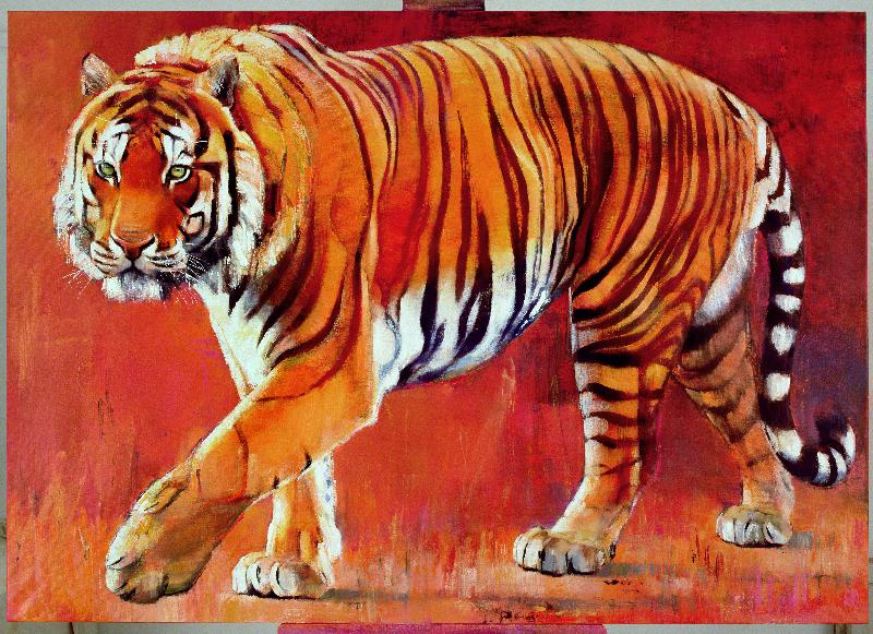 Tigre du Bengal 