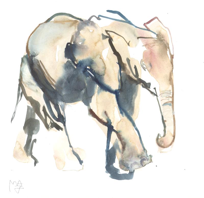 Elephant calf, Loisaba