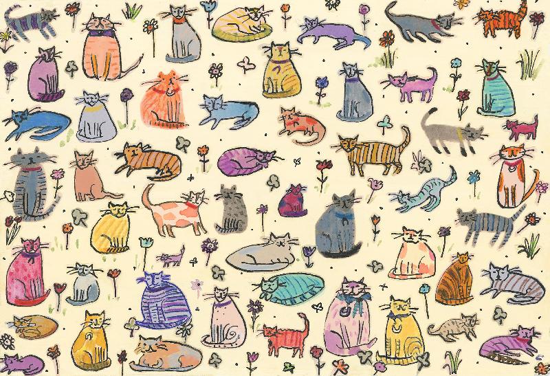 52 Cats, 2017