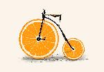 Vélo vitamine orange
