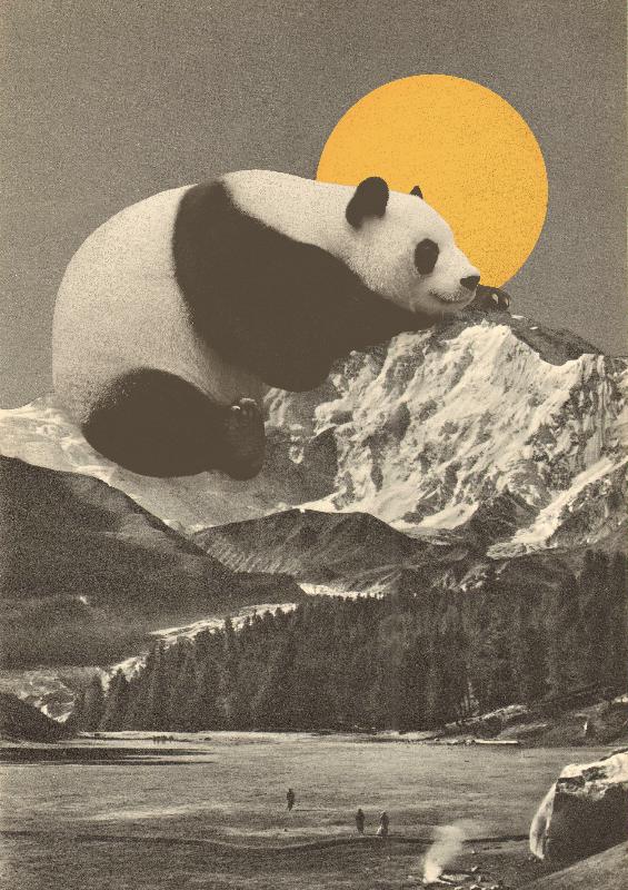 La sieste du panda dans les montagnes