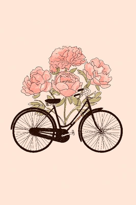 Illustration vélo fleurs