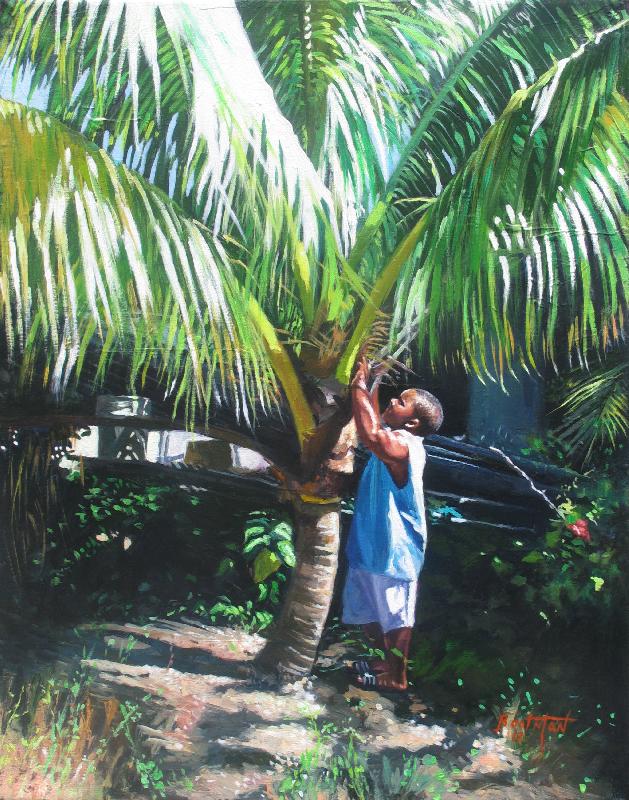 Coconut Shade, 2014