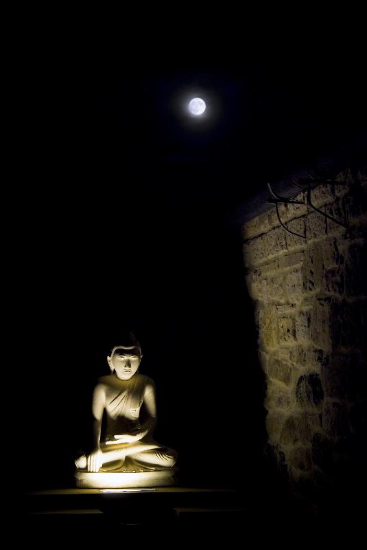 Photo Statue de Bouddha illuminée la nuit et pleine lune dans le jardin du centre de retraite, monastère bouddhiste Harnham