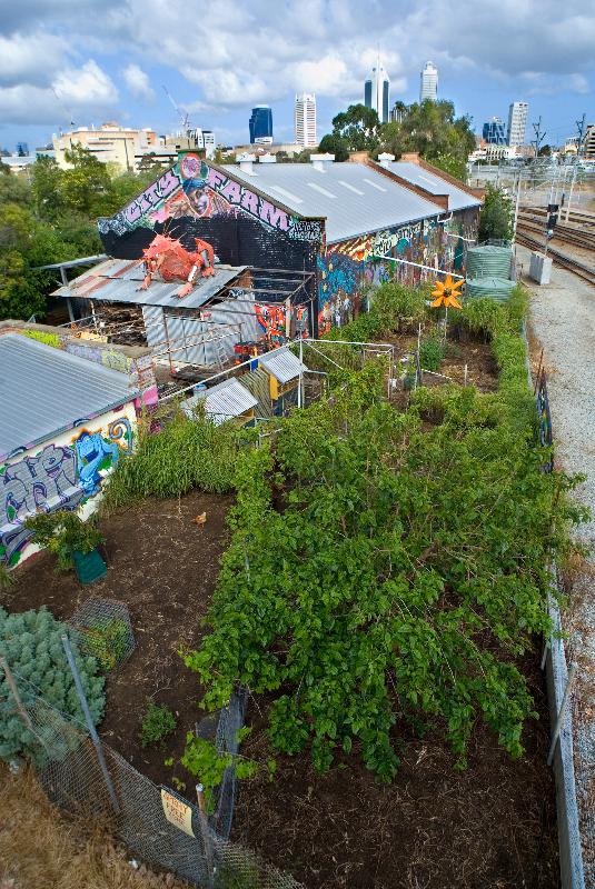 Photo  Vue générale de City Farm Perth avec une grande hauteur d'horizon de la ville à Bckgnd., Perth, Australie-Occidentale