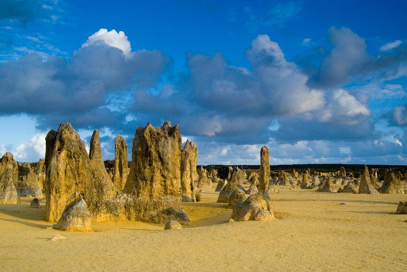 Photo Formations de colonnes de calcaire dans le désert, ciel dramatique dans la lumière du soir, désert de Pinnacles, parc national de Nambung, nr. Cervantes Australie-Occidentale