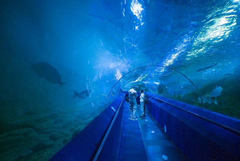 Photo Visiteurs et poissons dans le plus grand tunnel sous-marin et aquarium d'Australie AQWA 