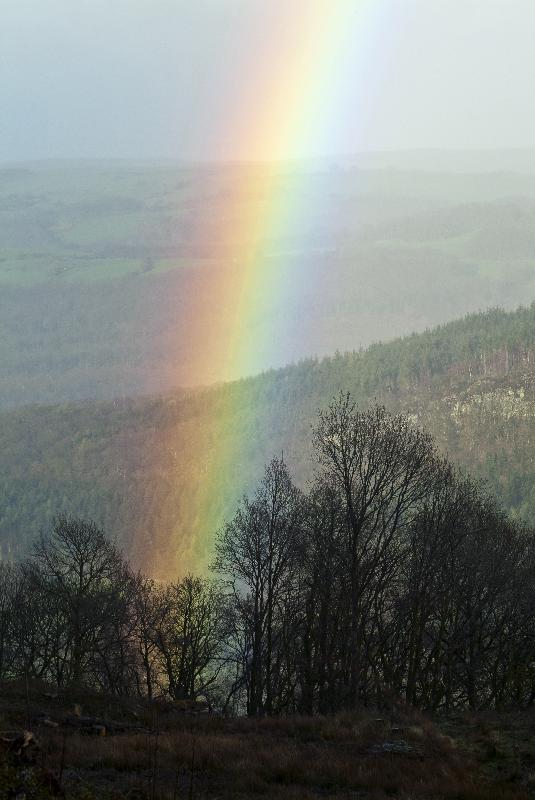 Photo Arc-en-ciel au-dessus des bois, près de Betws-y-Coed, Parc national de Snowdonia, Pays de Galles du Nord, Royaume-Uni