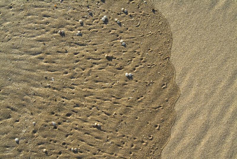 Photo Ligne de marée haute avec vague de recul laissant de petites coquilles et des patrons dans le sable