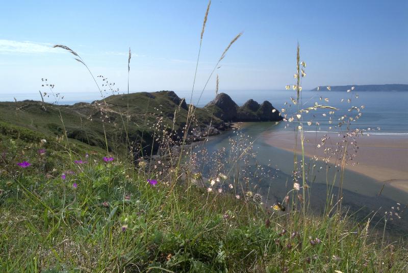 Photo rivière dans la mer Gower, South Wales, Royaume-Uni