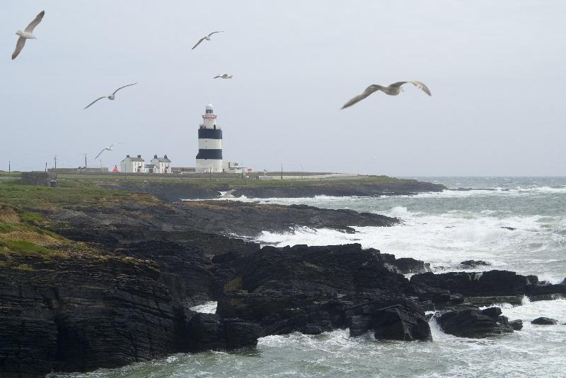 Phare crochet, avec des mouettes sur la côte rocheuse orageuse, péninsule de Hook, comté de Wexford, République d'Irlande