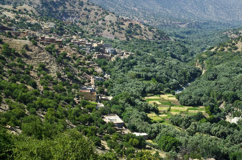 Photo Haut Atlas sur une colline au-dessus d'une vallée fertile de la rivière