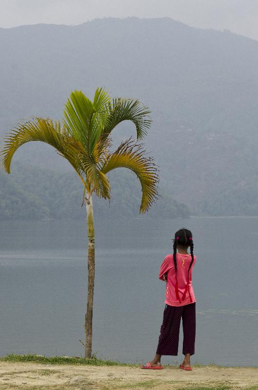 Photo Jeune fille népalaise à côté de palmier regardant à travers le lac misty Phewa