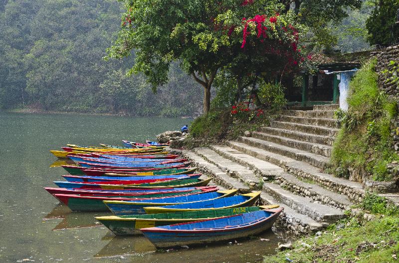  Bateaux colorés amarrés sur le lac Phewa, Pokhara, Népal 