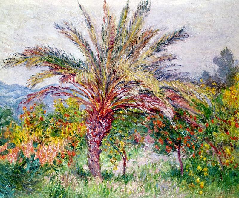 Palmier à Bordighera 1884