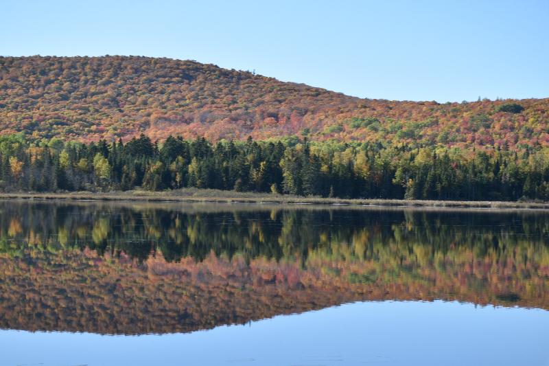 Reflet dur le lac à l'automne