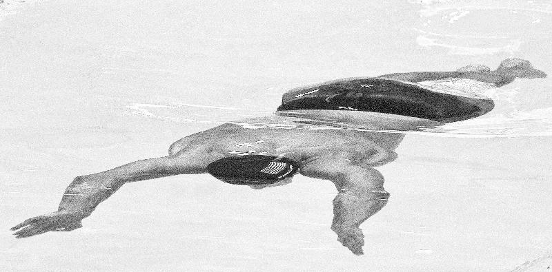 Reproduction photo Jeux Olympiques Phelps natation