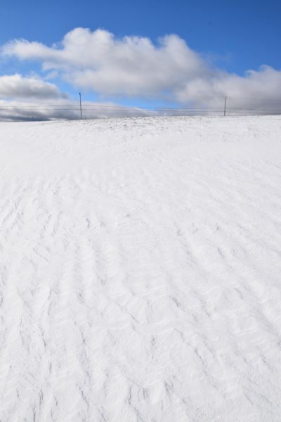 Un champ enneigée sous un ciel bleu