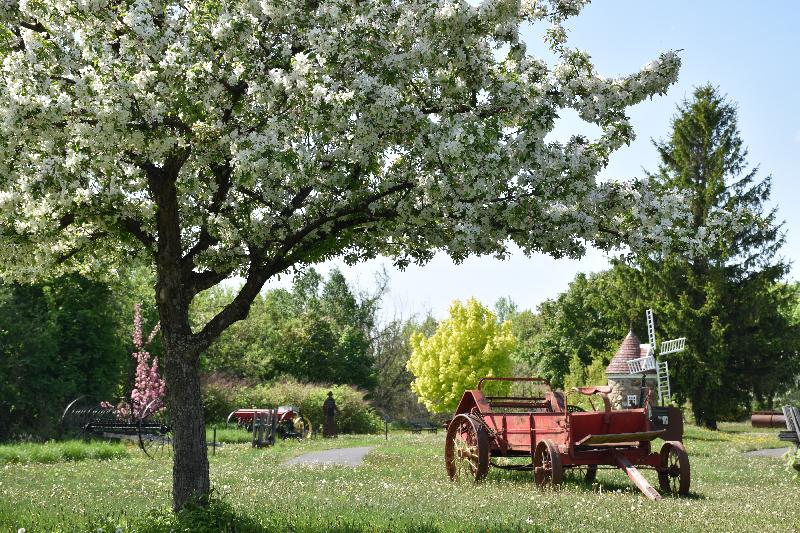 Le jardin des pionniers au printemps