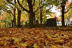 Le cimetière en automne