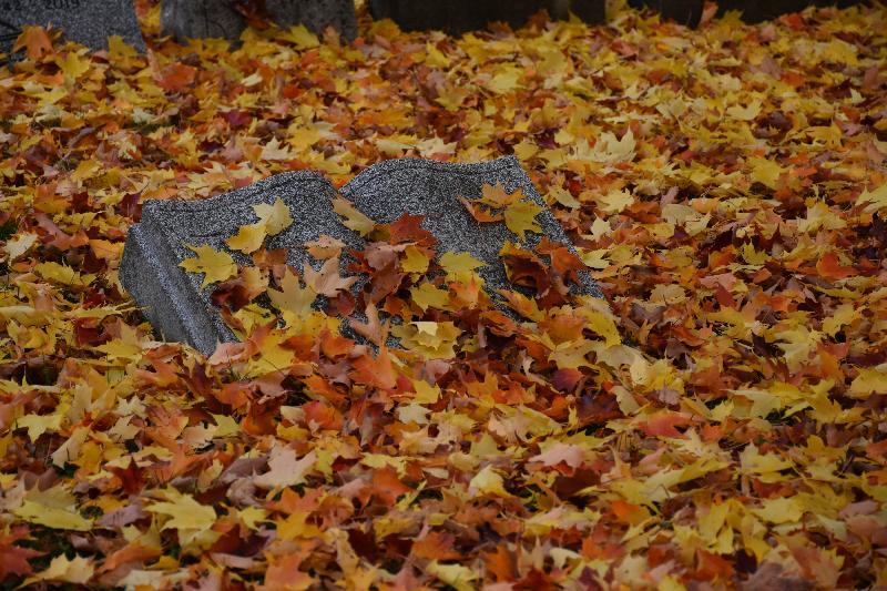 Des feuilles au cimetière en automne