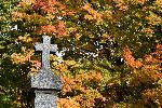Une croix dans un cimetière en automne