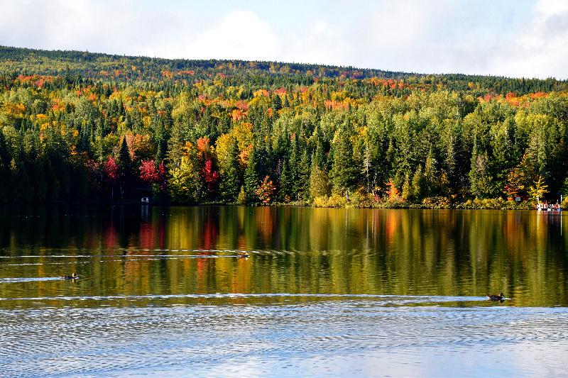 Reflet sur le lac à l'automne
