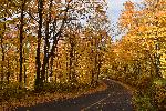 Une route de campagne en automne