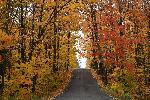 Une route de campagne en automne