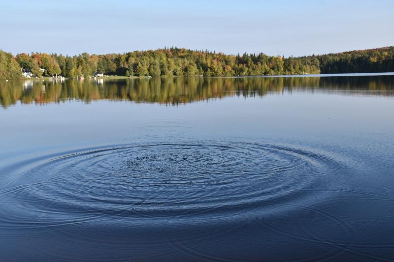 Reflet sur le lac en automne