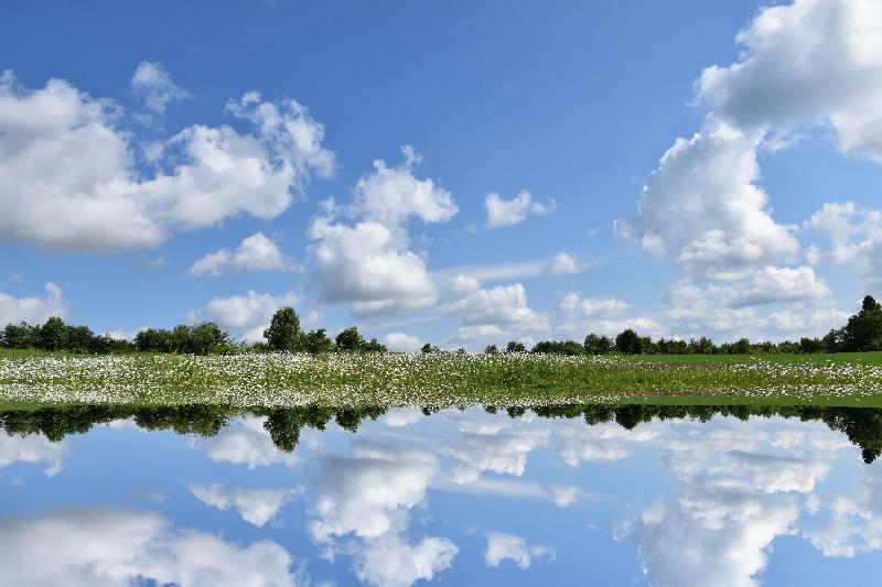 Reflet sur le lac au printemps