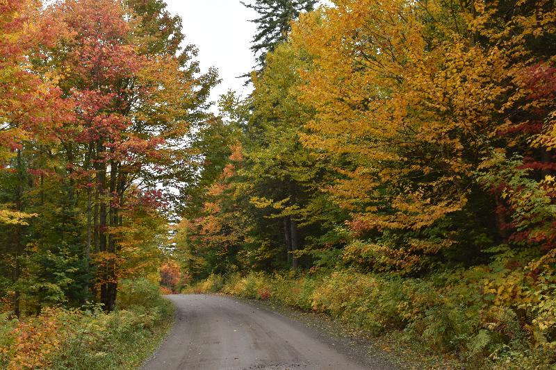 Une route de campagne en automne