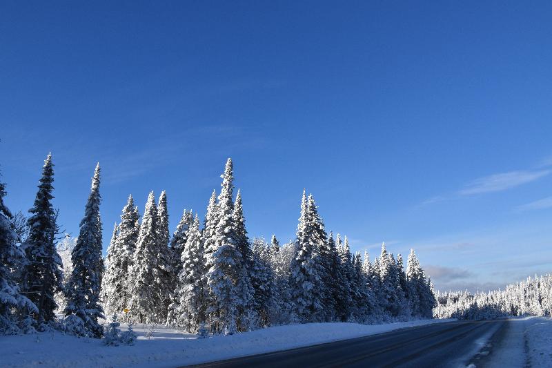 Une route déserte en hiver