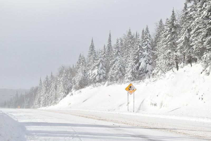 Une route de campagne glacée