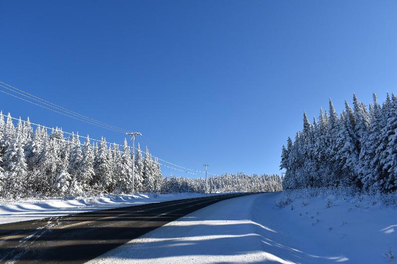 Une route de campagne en hiver