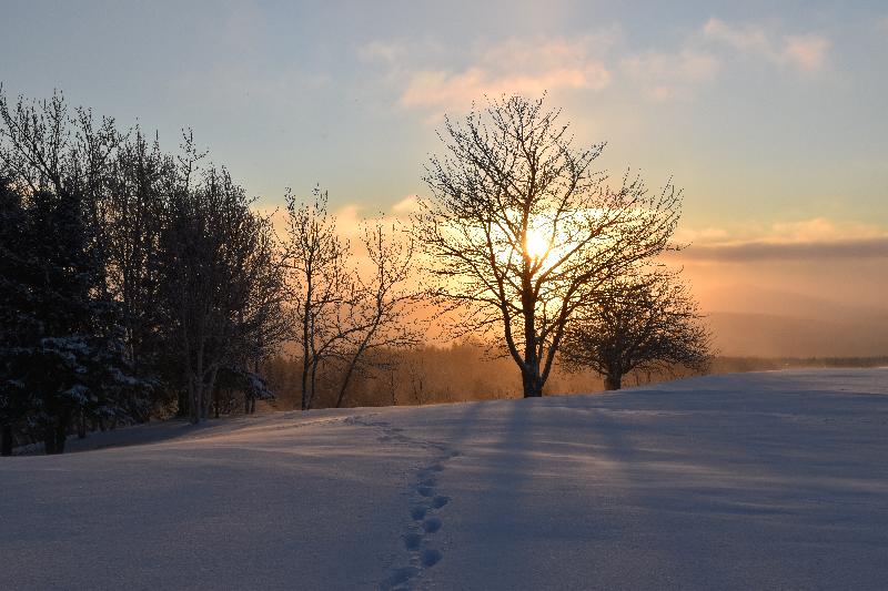 Un lever de soleil un matin froid