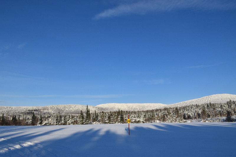 Un champ en hiver sous un ciel bleu