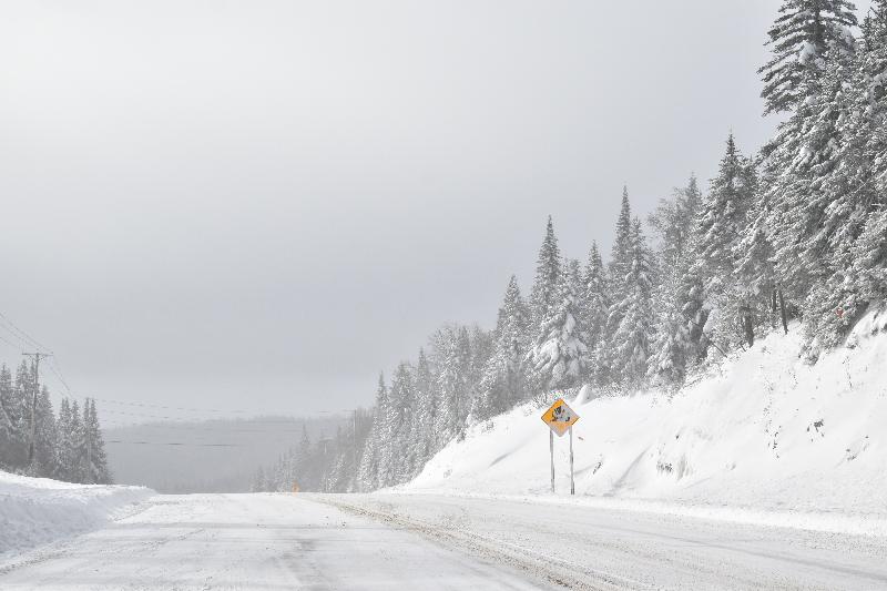 Une route de campagne en hiver