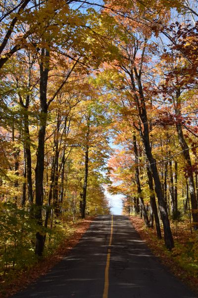 Une route déserte en automne