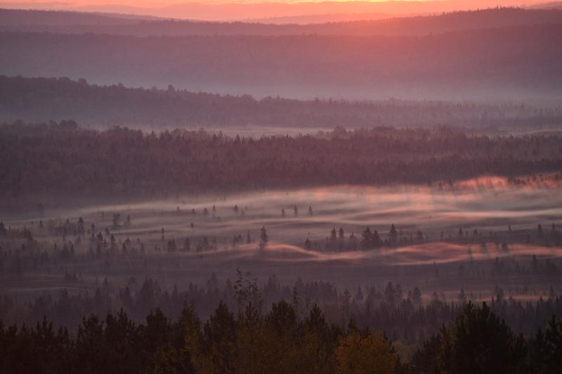 Un brouillard un matin d'automne