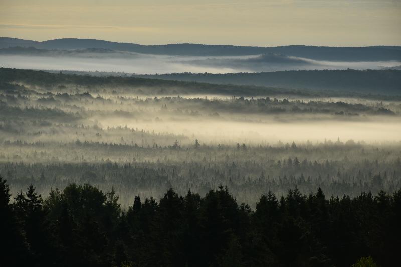 Un brouillard un matin d'automne