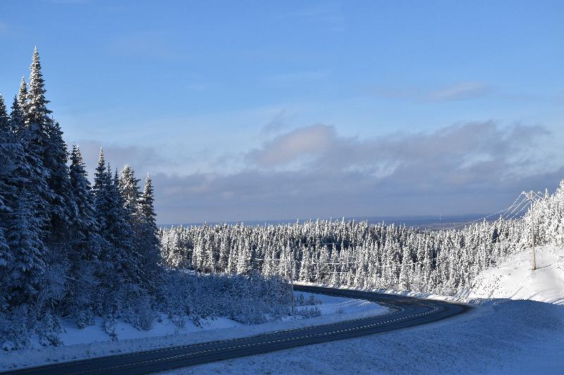 Une route déserte en hiver