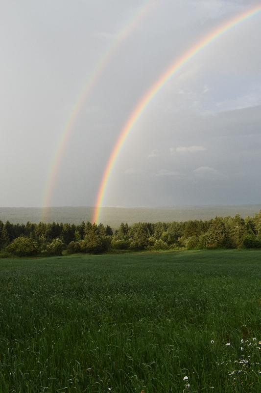 Un arc-en-ciel après la pluie