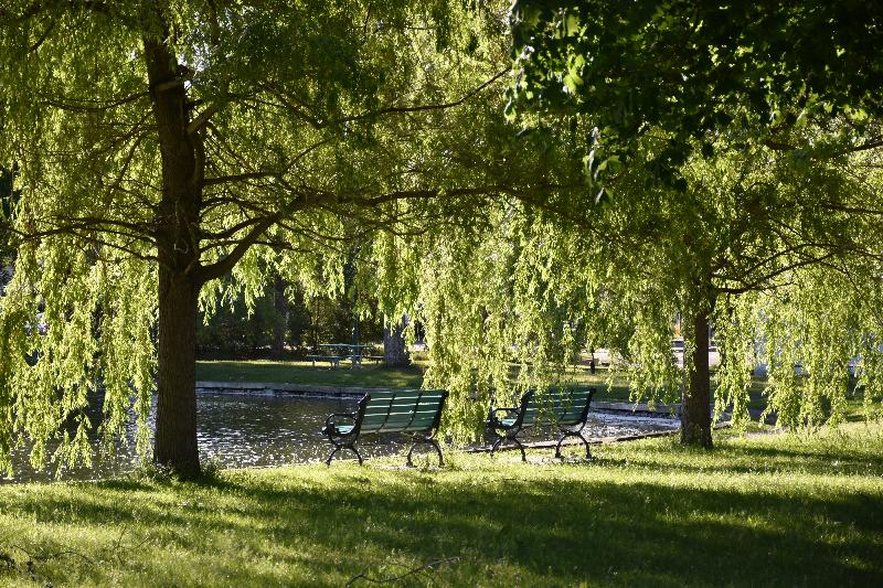 Un banc sous les arbres au parc